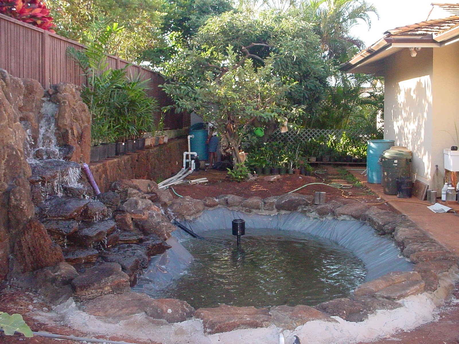 pond1.jpg