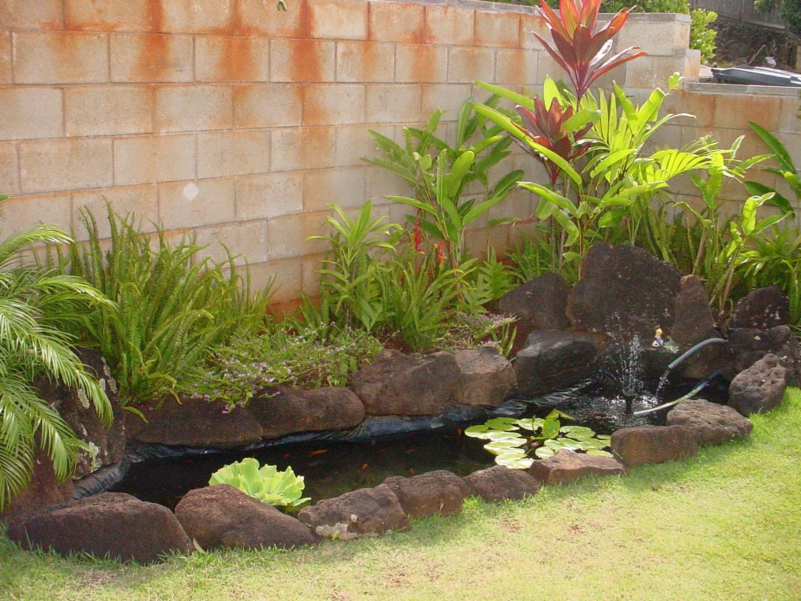 pond2.jpg